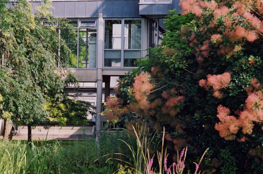 Egrove Park, University Of Oxford South Hinksey Exterior photo